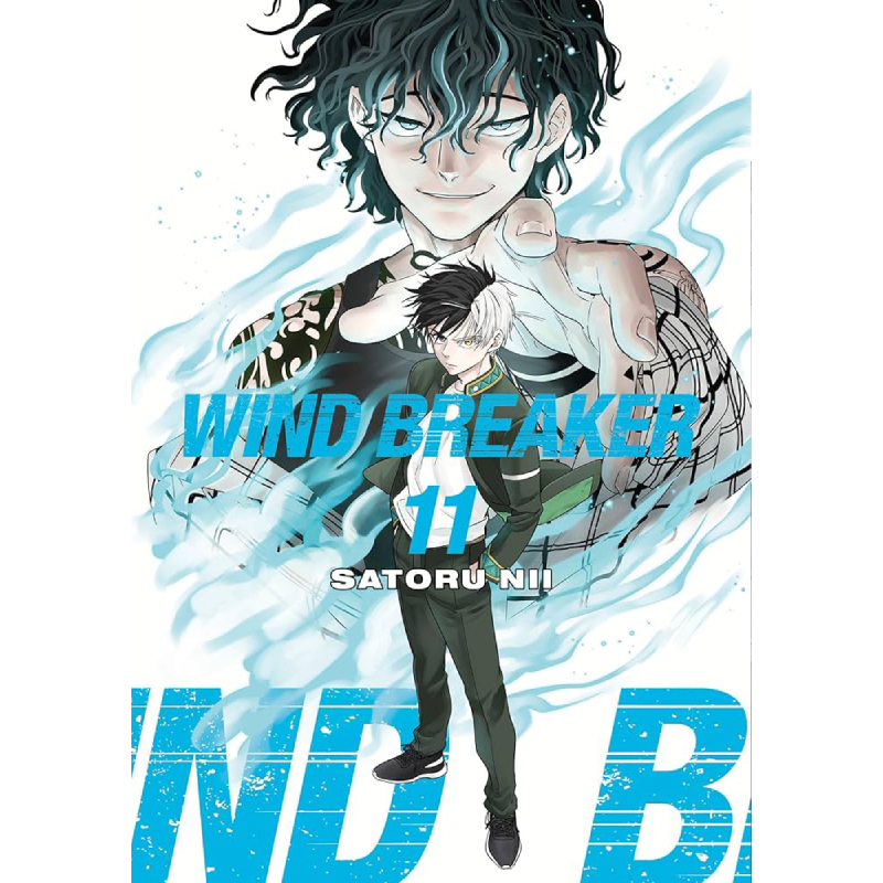 Wind Breaker vol. 11